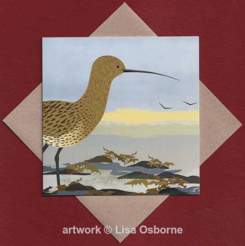 Curlew greetings card - Cards