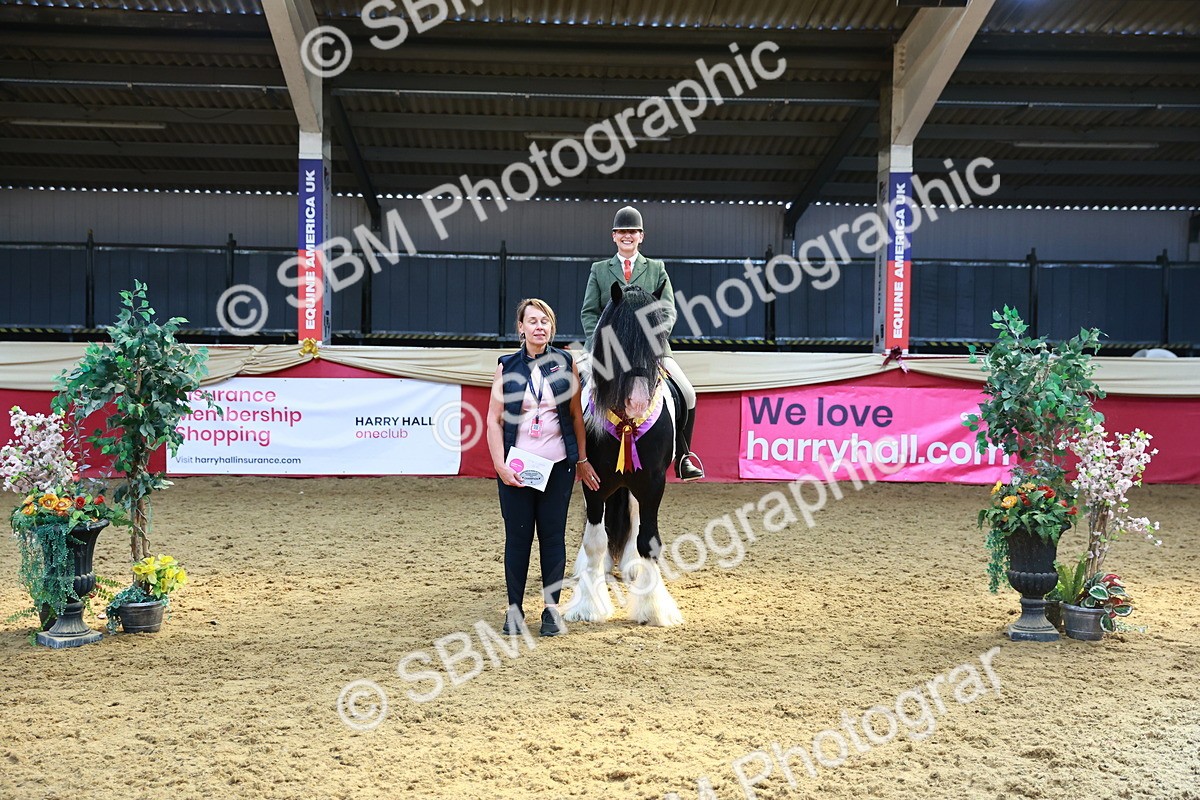 SBM_12762 - HOYS Veteran Qualifier - Ridden Champ