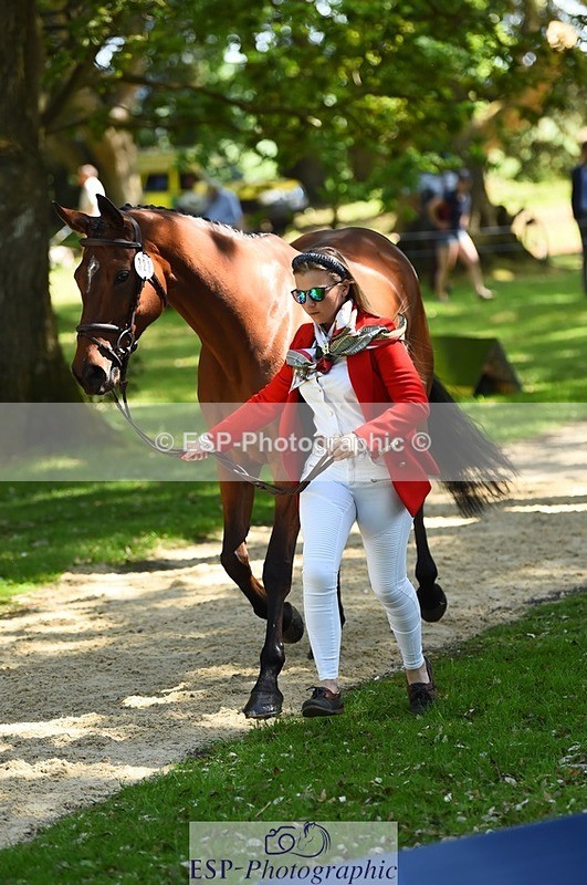 230524-152024-00212 - 322-CHANSON_DU_VILLAGE-Phoebe_Locke-WEDTrotUp+DR