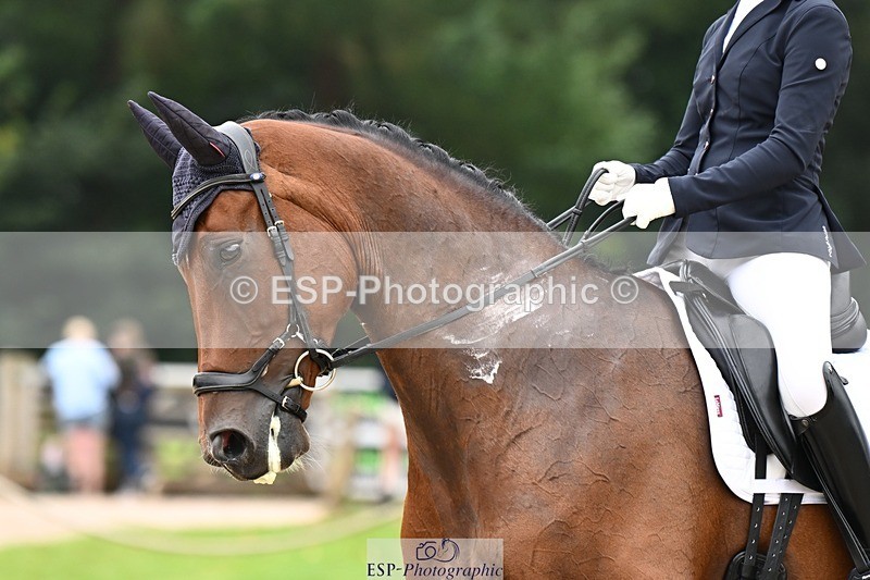 240811-105211-05350 - 213-Bryony.Goodwin-Dion.II