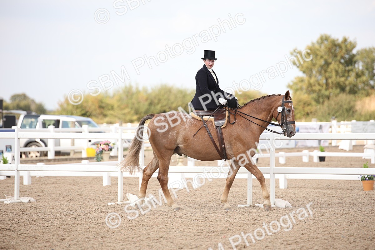 SBM_06774 - Class 24 Concours d'elegance