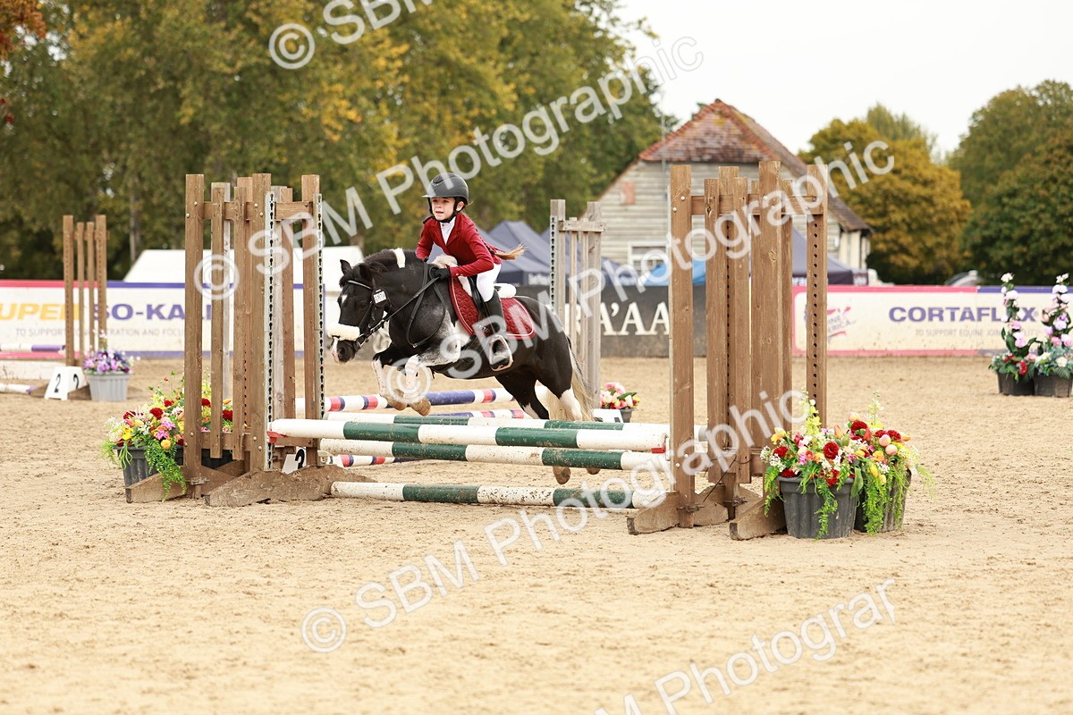 SBM_57927 - J11 - Junior Pony 50cm Championship