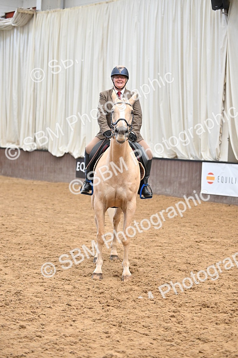 SBM_001493 - Class 19,20 - Ridden Native, Foreign Breeds & Warmbloods