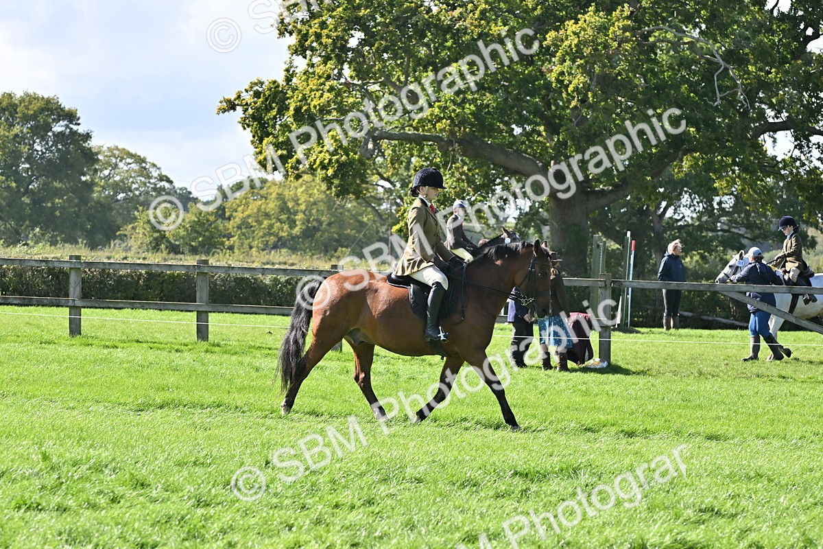 SBM_44575 - S13 - Pony Club Pony
