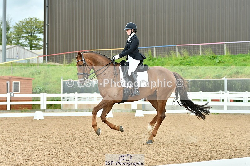 230912A-153257-01588 - Cls 13 Adv Medium 91