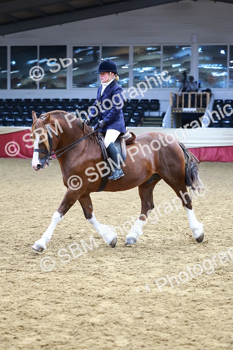 SBM_23410 - class 906 - Supreme Final - Ridden Pre Vet