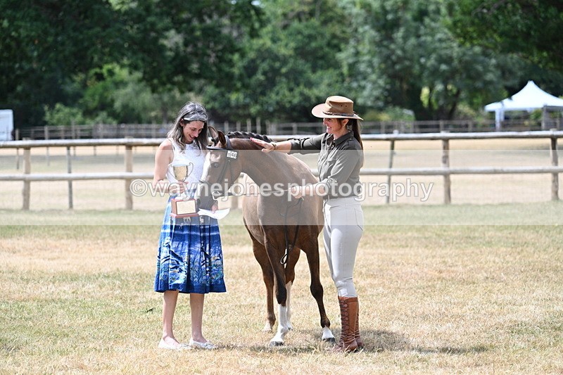 WJ7_2102 - Prettiest Mare Champs