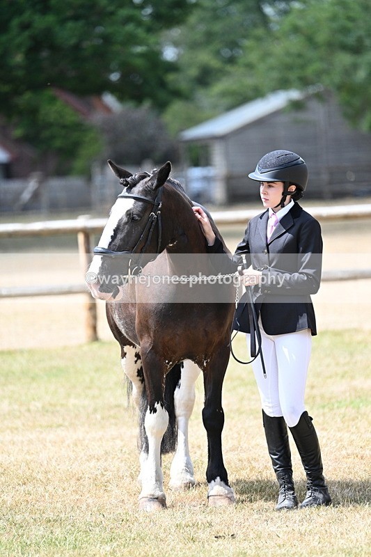 WJ7_1983 - Class 4a Prettiest Mare 14.2hh and over hand