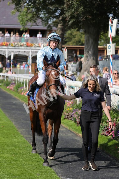 yr05092021r1-34 - Race 1 2.10pm IRE-Incentive It Pays To Buy Irish ebfstallions.com Novice Stakes