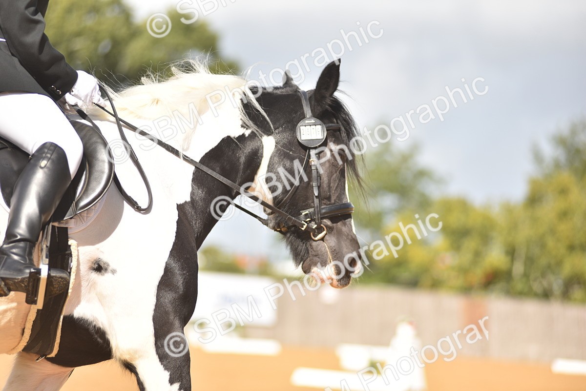 SBM_03376 - D4 - Small Tour Championship Intro 4