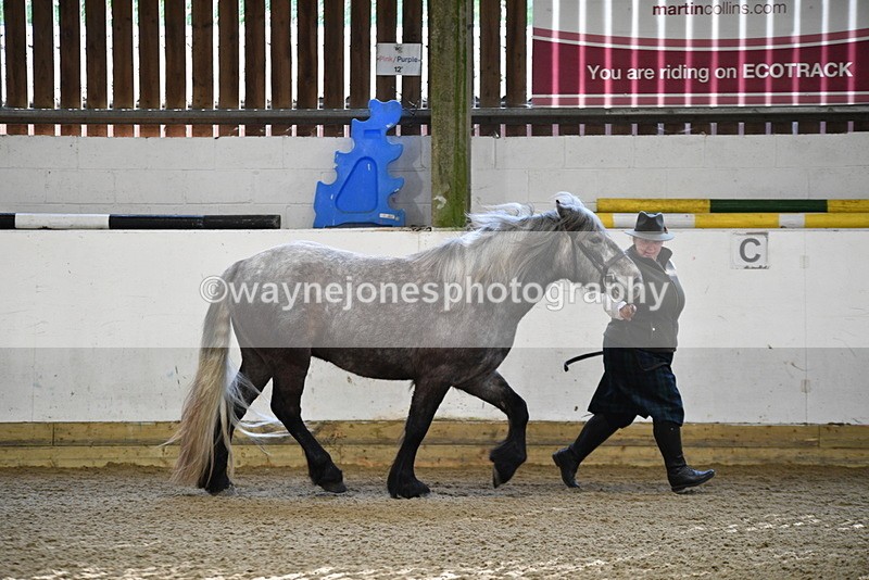 WJ5_3471 - Class 1 Youngstock