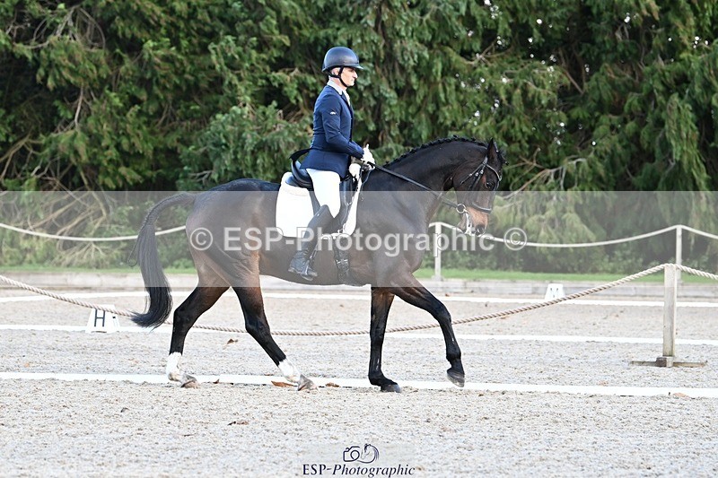 231110-134215-01030 - Cls 4 Novice 39Q