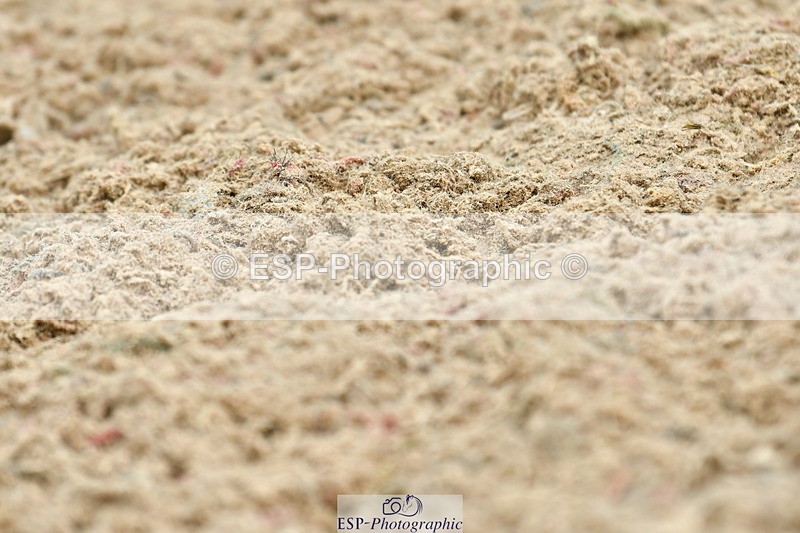 230701A-114139-05303 - Cls 5 Novice 37A