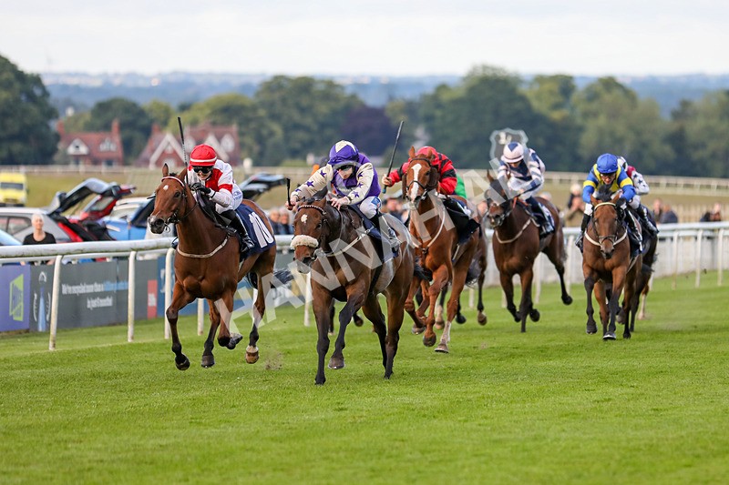 180624-Race 5-Makalu-8176 - Race 5