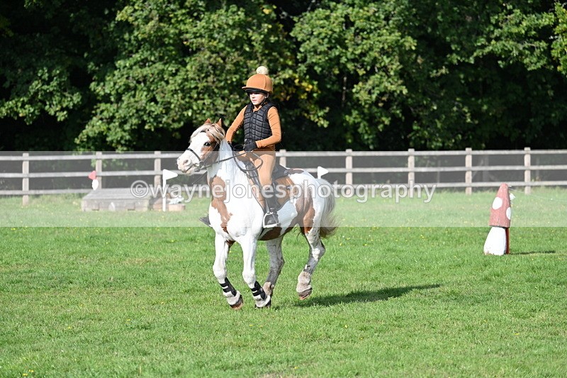 WJ7_3936 - 40cm Time 10:26 to 10:42