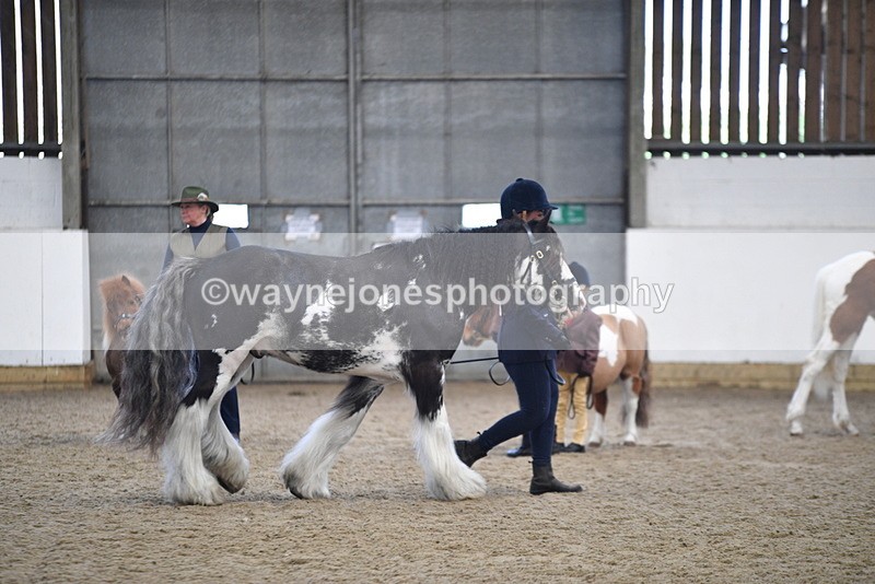 WJ5_4677 - Class 7 In hand coloured / odd coloured