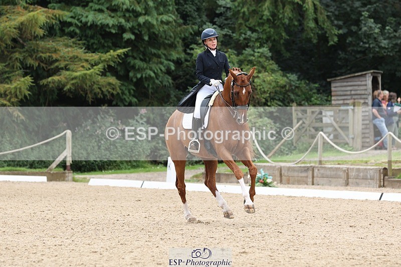 240810-133353-03338 - 188-Amanda.Towle.Shaw-Rockwood.Virtue