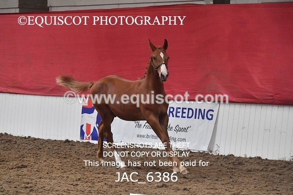 JAC_6386 - 19 Luca