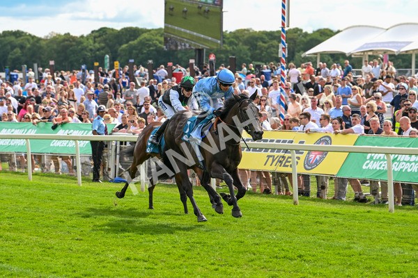 140625-Race 5-Egoli-3083 - Race 5 4.10pm Reg Griffin Appreciation EBFstallions.com Maiden Stakes