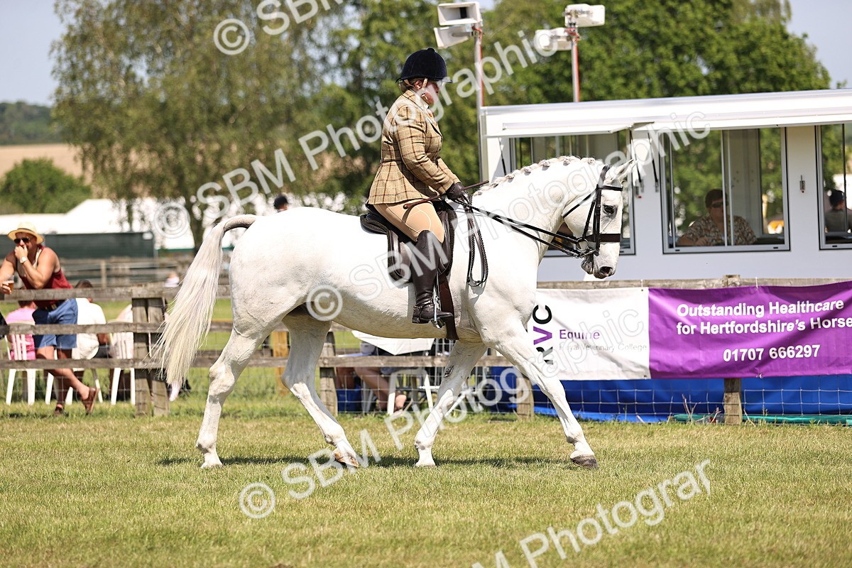 SBM_16144 - Class 79-80 - LIHS BSHA Rising Star Ridden Hunter