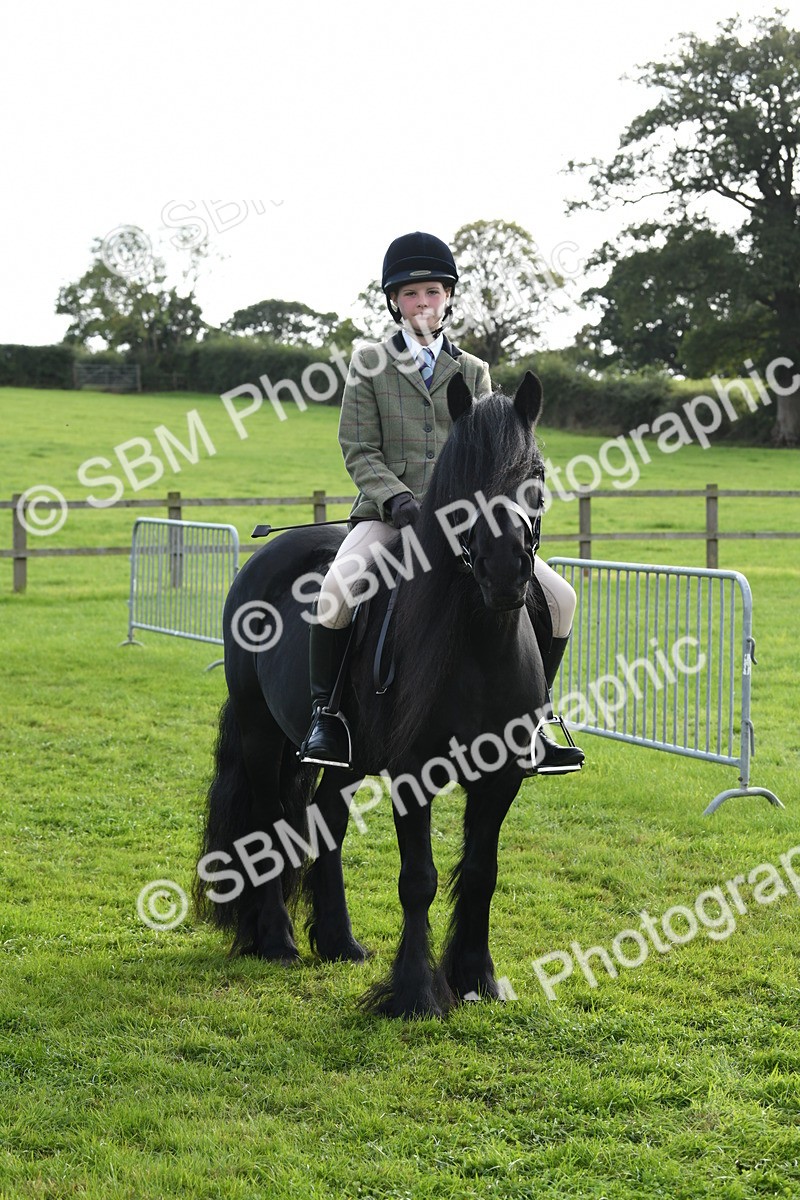 SBM_52016 - S21 - Novice & Newcomers 1st Ridden Pony