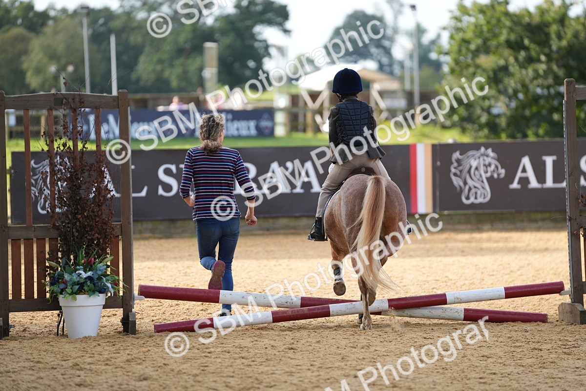 SBM_64314 - J2 - Mini Tour Junior Pony 30cm Championship
