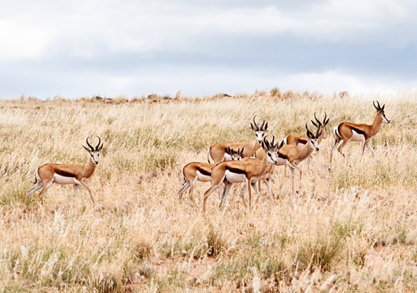  - Namibia