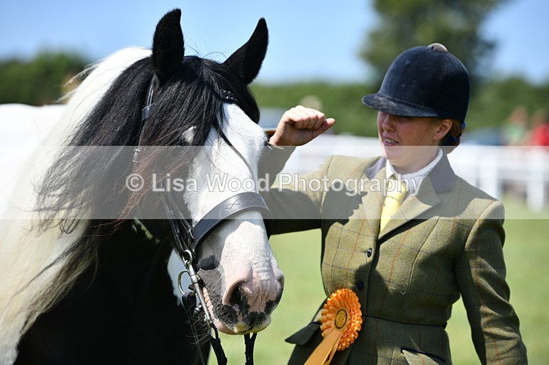 DSC_7795 - Class 64: Coloured Pony 4yrs & over