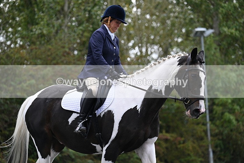 WJ7_3490 - Time 09:54 to 10:54