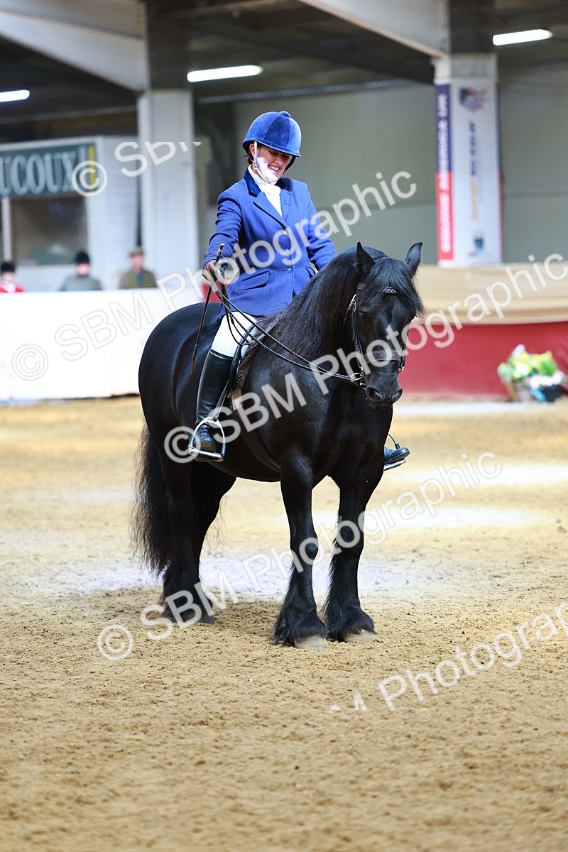 SBM_23349 - class 906 - Supreme Final - Ridden Pre Vet