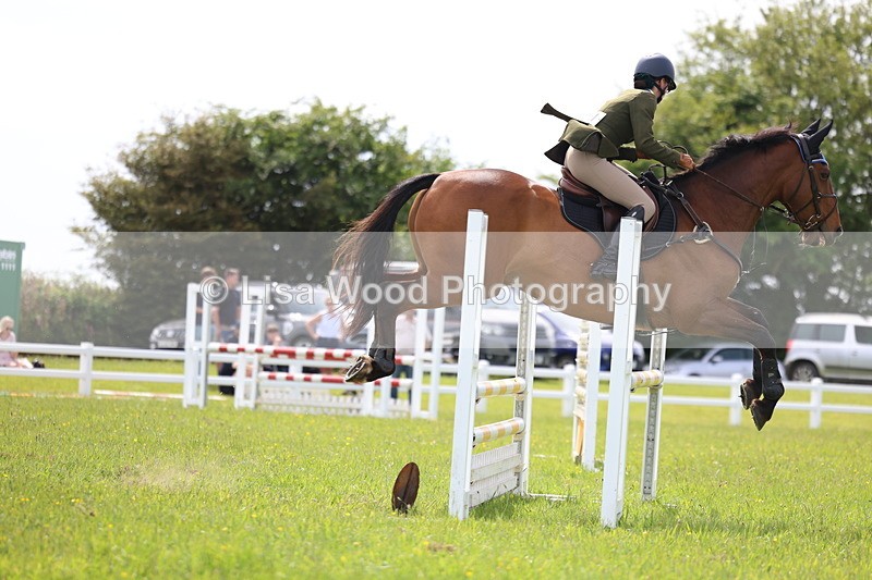 3E7A1875 - Class 13: Senior British Novice/90cm open
