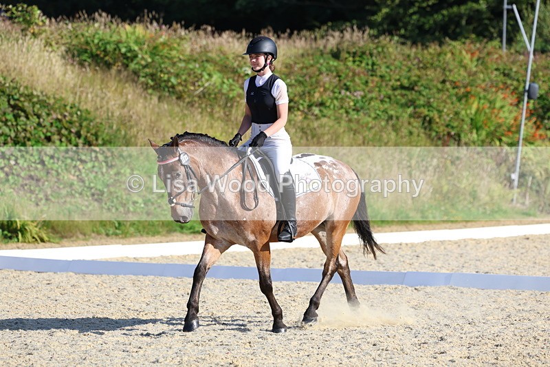 3E7A3608 - Class 2: Intro 1 2024 Section B