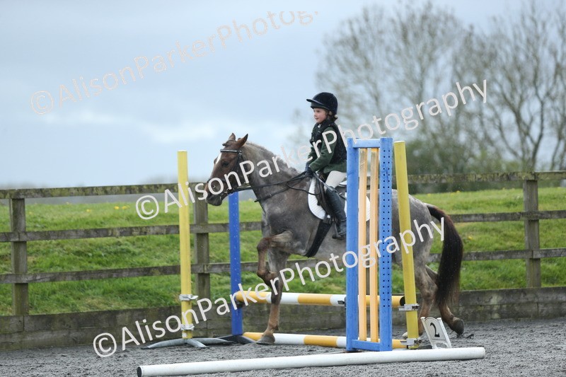 20260412-1848 - Show Jumping