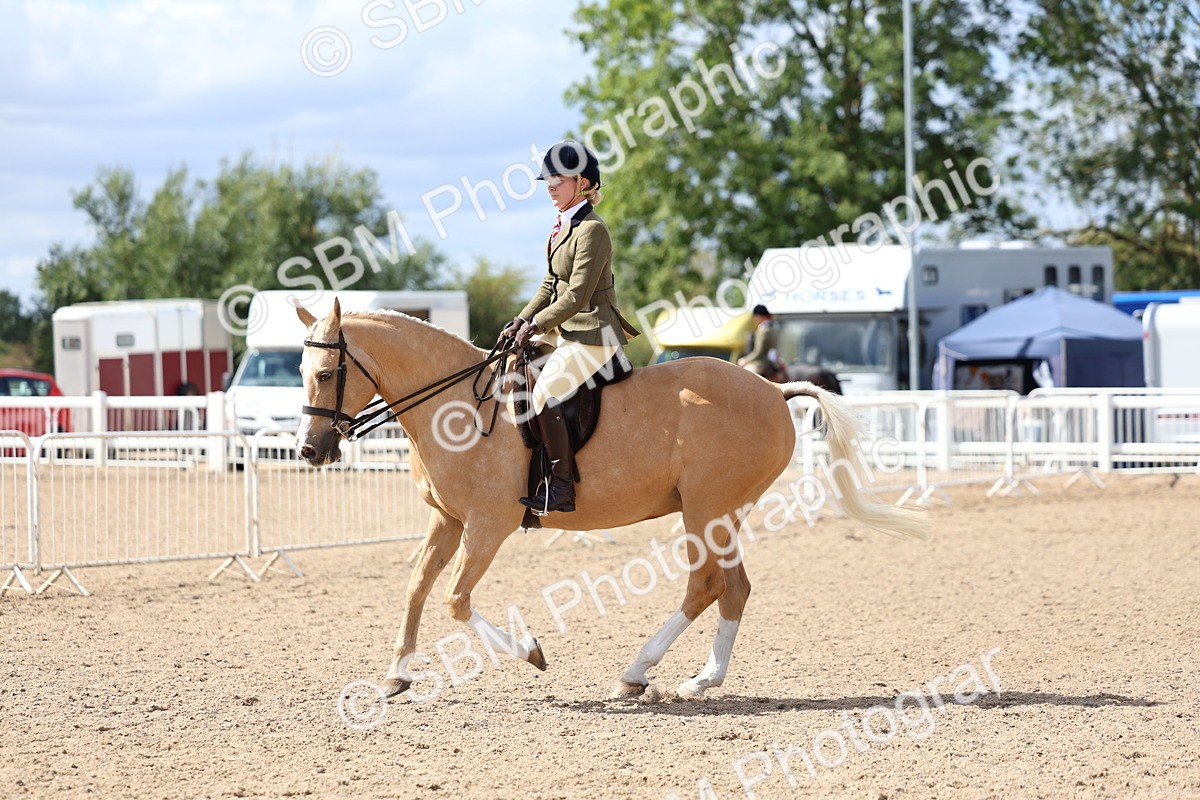 SBM_13289 - Class 311 - Ridden Show Pony Show Hunter Pony