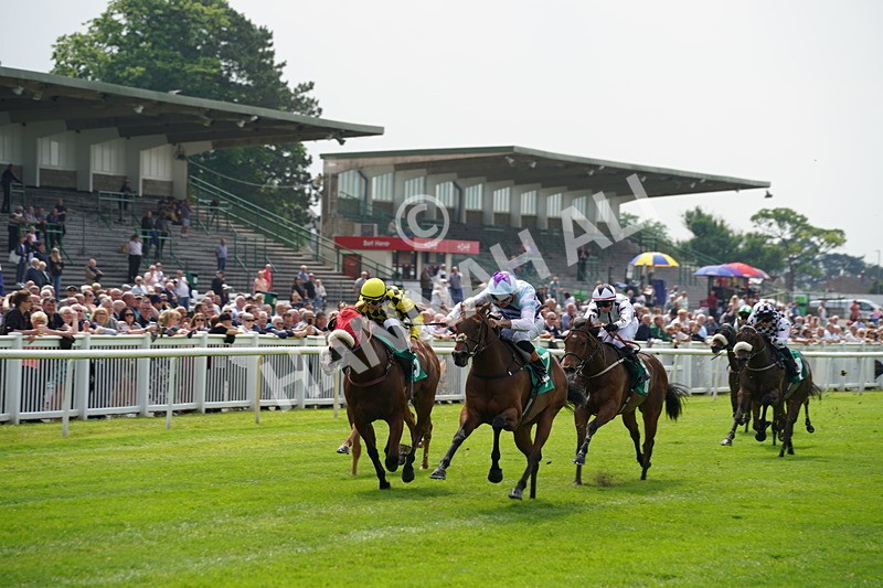 160626-Race 2-Dragon Spin-2 - Race 2 14.50pm PD Hook Gallop Handicap