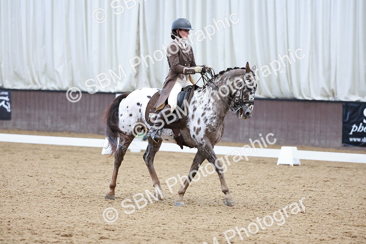 SBM_016609 - Class 5 - FEI INT II - 17.24-18.20