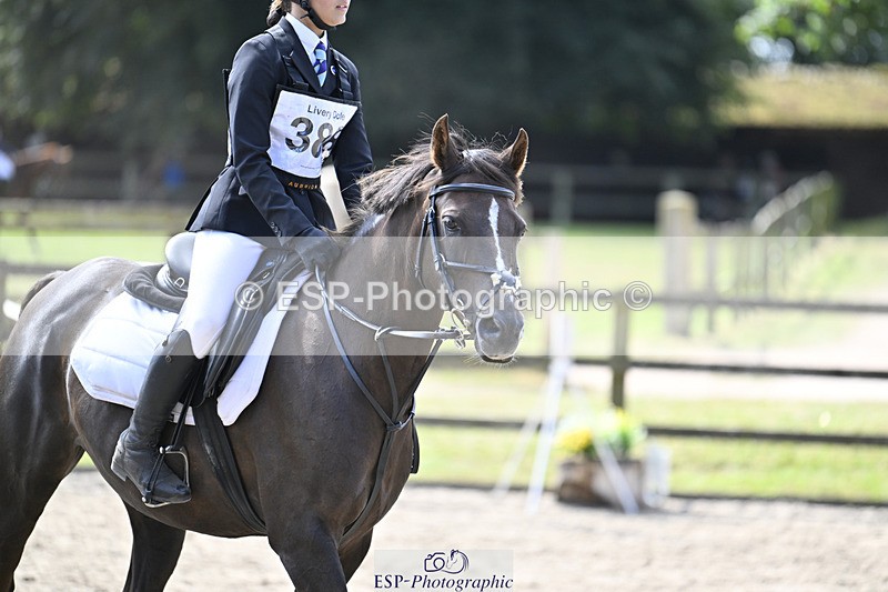 240823X-115746-16289 - 60cm R2 11.00 to 12.30