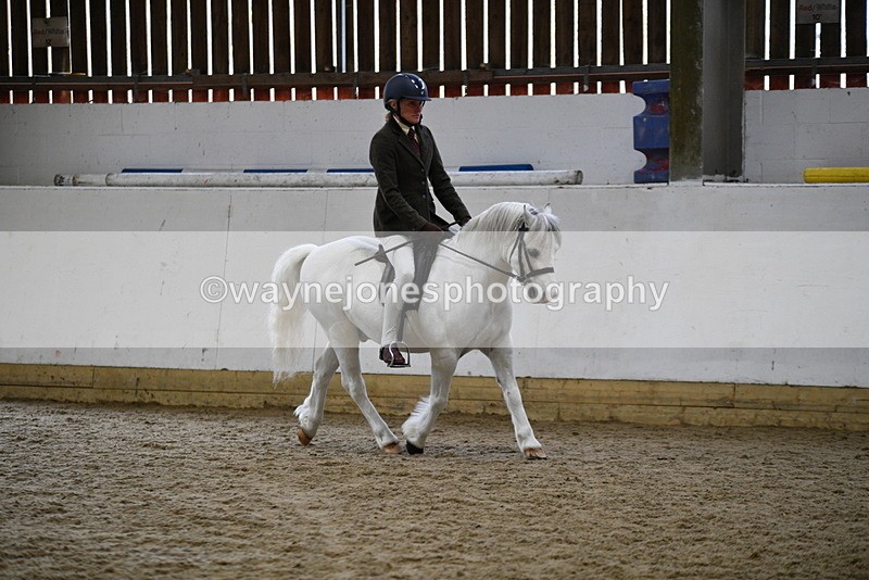 WJ5_6254 - Class 9 Ridden Veteran