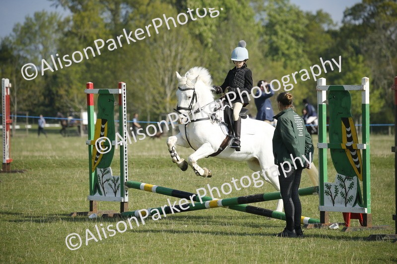 20250427-0257 - Class 12 - Rookie Jumping 40cm
