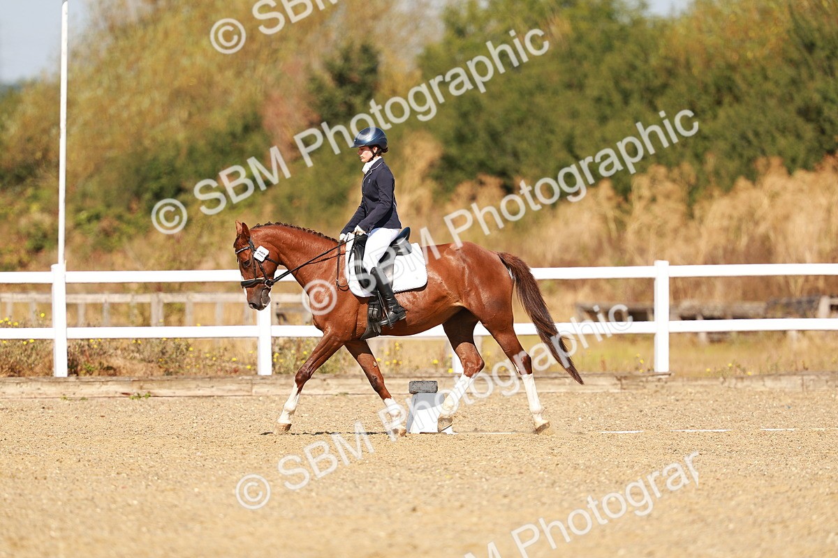SBM_017626 - Class 9 - N5 Bronze 10.33.11.36