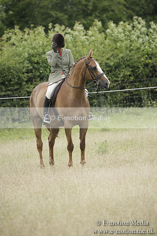 B230619-0796 - Bourne Valley Riding Club Summer Show 23/06/19