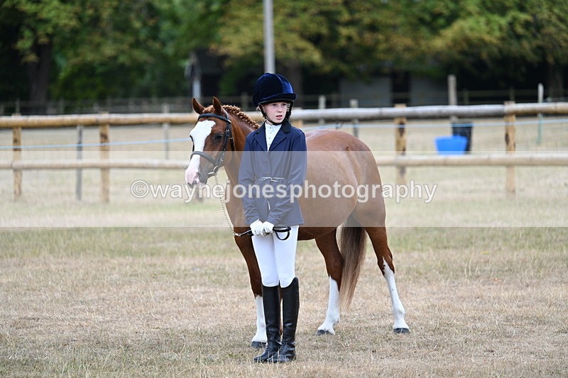 WJ7_8210 - Class 4 Prettiest Mare up to 14.2hh