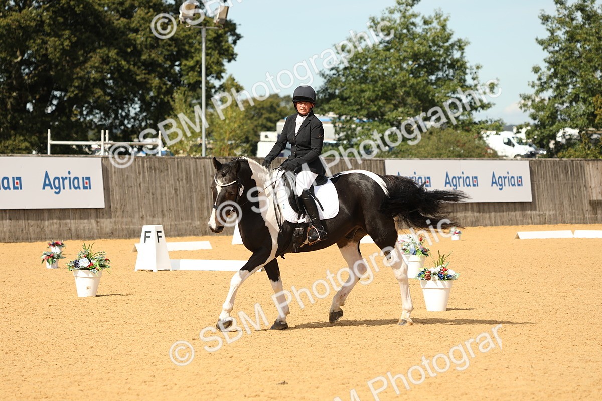 SBM_22196 - D17 - Grand Tour Championship - Novice 27
