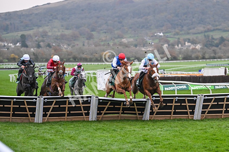 161124-Race 6-Hamsiyann-1459 - Race 6