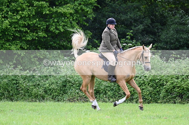 WJ7_2468 - Class 12A Coloured Class