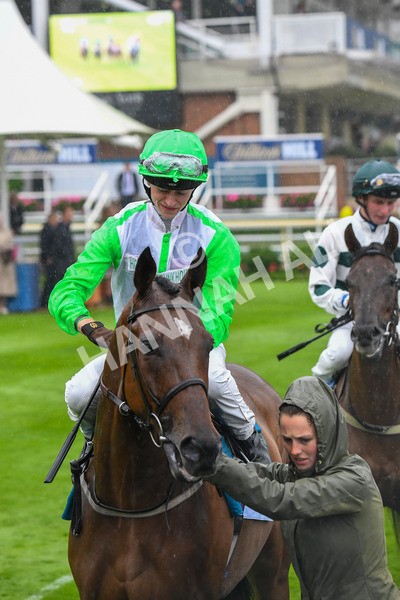 140723-Race 7-Gibside-0671 - Race 7 5.30pm William Hill Extra Place Races Daily Apprentice Handicap