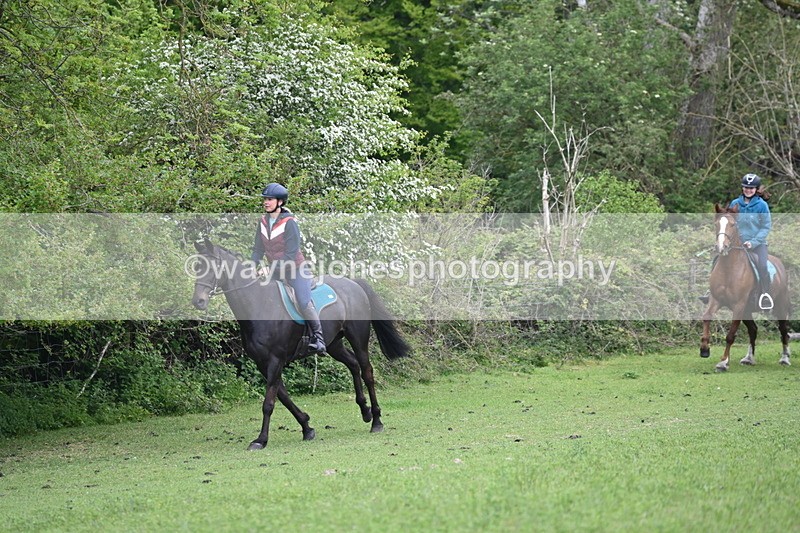 WJ6_2939 - A Camera
