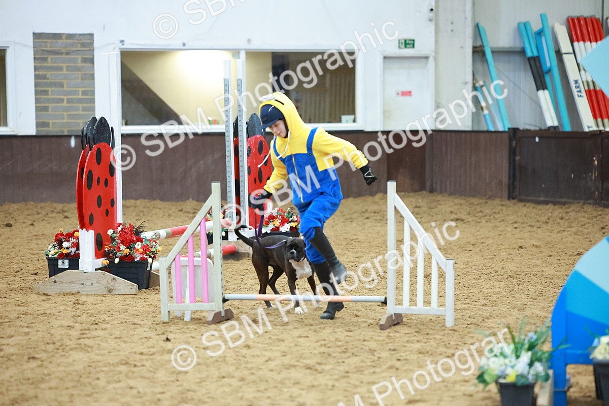 SBM_002231 - Class 3 - Horse & Hound (60cm)