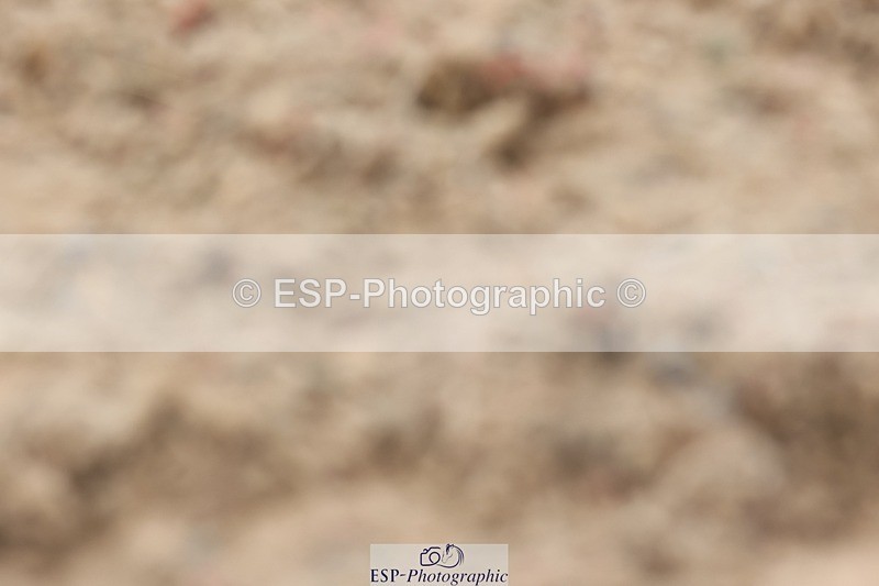 250622-112809-14728 - Cls 48 Novice 6