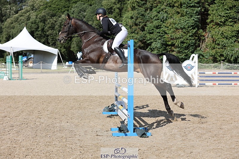 250803A-162806-17476 - S-856-Helena.Stock-ROYAL.UPDATE